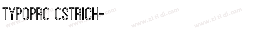 TypoPRO Ostrich字体转换